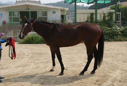 �ο��Ƹ� ����