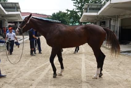 ��������Ʈ ����