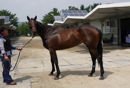 ���̽��帮�� ����