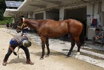 �ְ�����Ŀ (CHOEGANG MAKER) ����