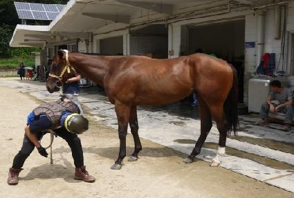 �ְ�����Ŀ ����