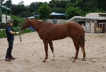 �����Ѹ��� (SOJUNGHAN MANNAM) ����