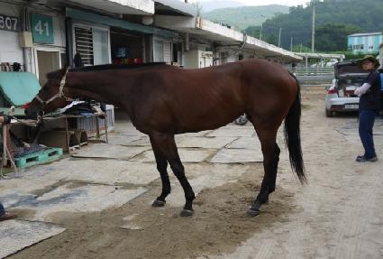 �̿� ����