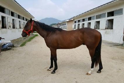 �����ε��� ����