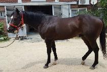 ��պ� (DAEWANGBONG) ����