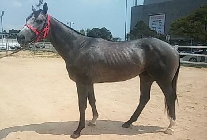 �����ڸ��� ����