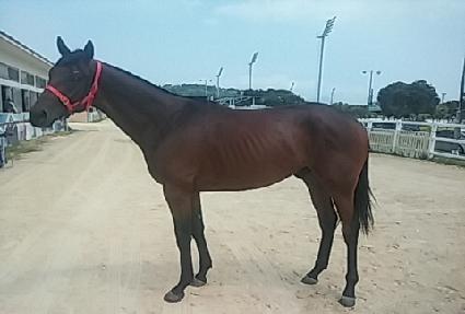 ����ڸ��� ����