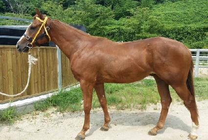 �ѵ� ����