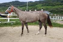 ���۸�ġ (SUPER MATCH) ����