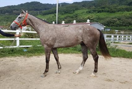 ���۸�ġ ����