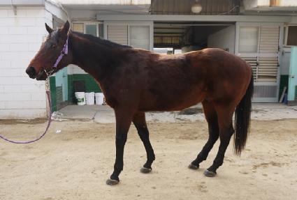 ������̺�� ����