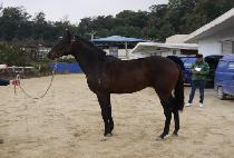 õ������ (CHEONJI JEONGSANG) ����