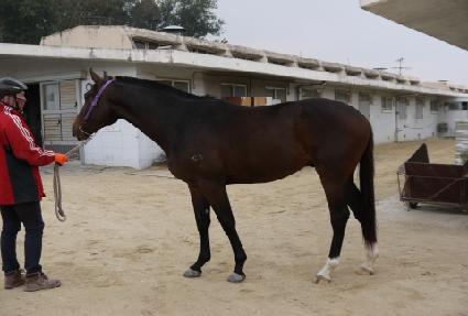 ��õ��Ʈ ����