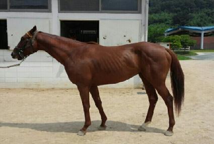 �۷ι�è�Ǿ� ����