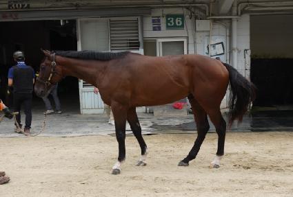 �Ϳ�¯ ����