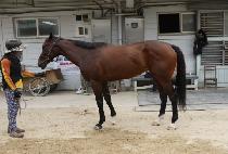 �뼺���� (DAESEONG MALLI) ����