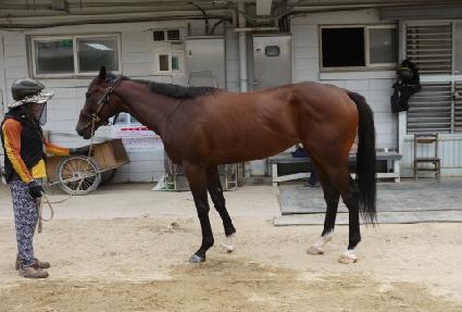 �뼺���� ����