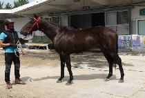 ���ȷ�ġ�ƺ� (APPALACHIA BOM) ����