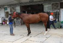 �׷��̽���Ƽ (GRACE CITY) ����