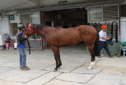 �׷��̽���Ƽ ����