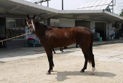 �±ظ��� ����