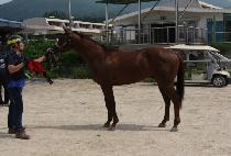 ��ε���̽� (BROADWAY SIN) ����