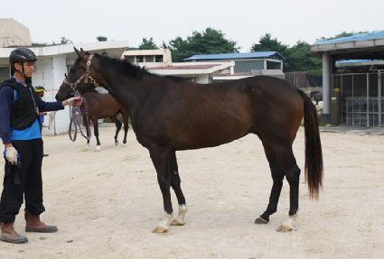 Ʈ��Ŀ ����