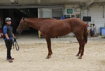 ���̿����� (BIO MAGIC) ����