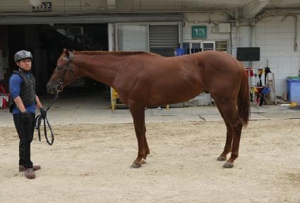 ���̿����� ����