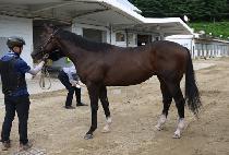 ���̾�ŷ (DIAL KING) ����