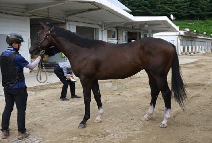 ���̾�ŷ ����