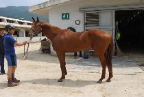 ���� (GEOM HAENG) ����