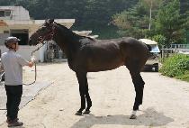 �ݳ�� (GEOM NOA) ����