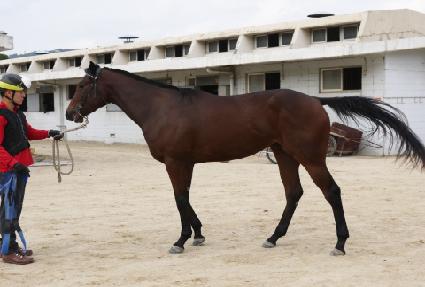 ų���ǿ��� ����