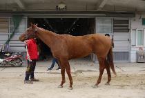 ���ο�� (SAEROUN GIL) ����