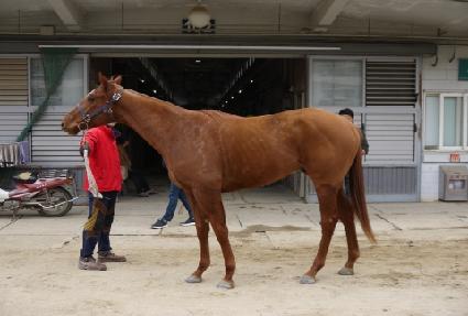 ���ο�� ����