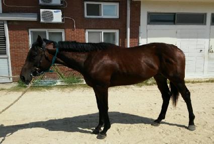 ǻ��̸� ����