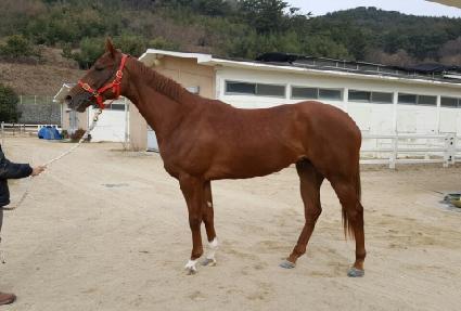 ���̼��� ����