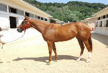 �����Ǽ��� (MABEOPUI SUNGAN) ����