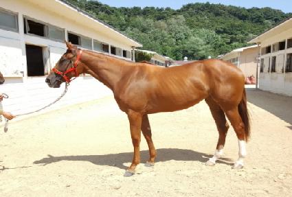 �����Ǽ��� ����