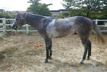 �븮�忡��Ʈ (VALID EFFORT) ����