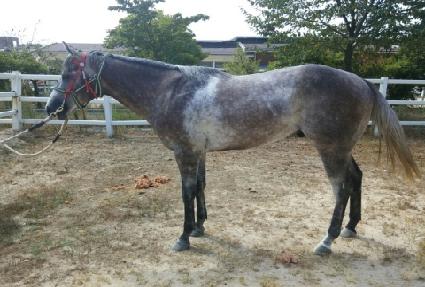 �븮�忡��Ʈ ����