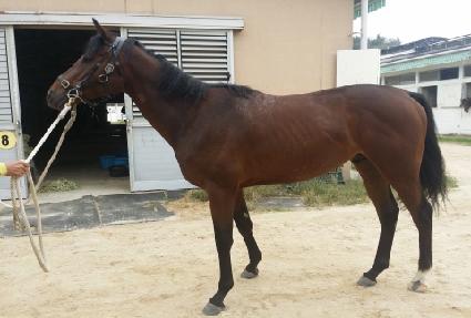 �����Ǳ��� ����