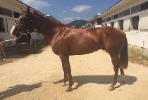 ����ī�ζ�� (TUSCARORA BILL) ����