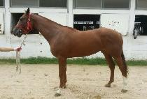 ������ (SEULVELY) ����