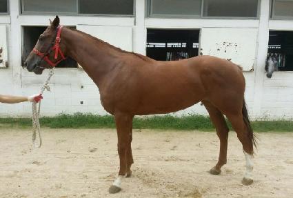 ������ ����