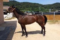 ������ (SINHEUNG QUEEN) ����