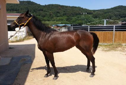 ������ ����