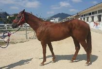 ���׷��� (THE GRAND) ����