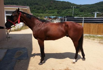 ��Ű������ ����